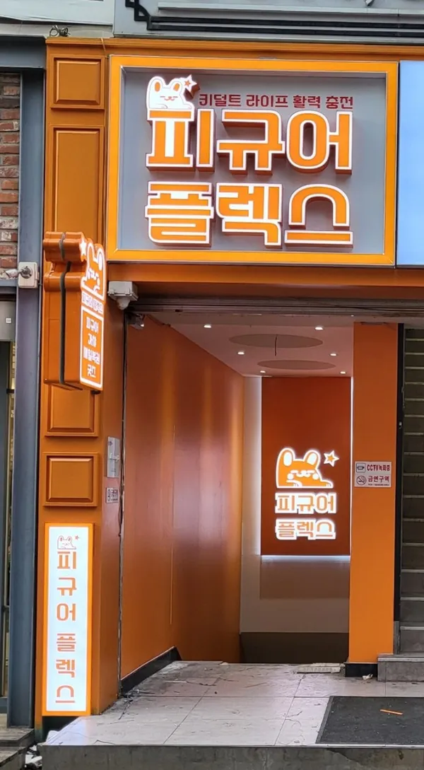 피규어플렉스 사진 2