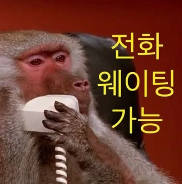 뽀조개 사진 2