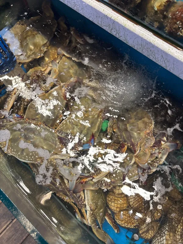 삼바리 부산시청점 사진 2