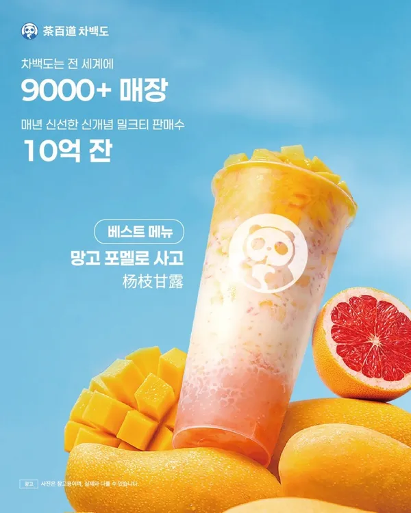 차백도 광주조선대점 사진 2