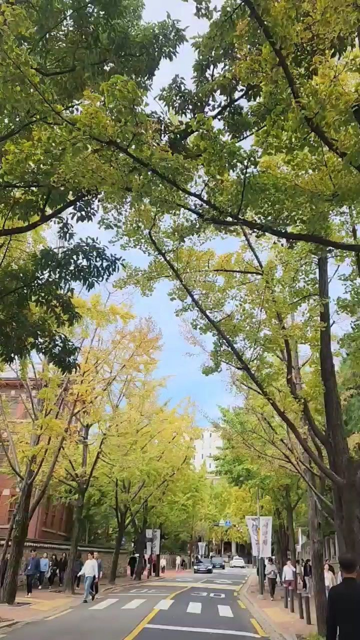 정동길 사진 5