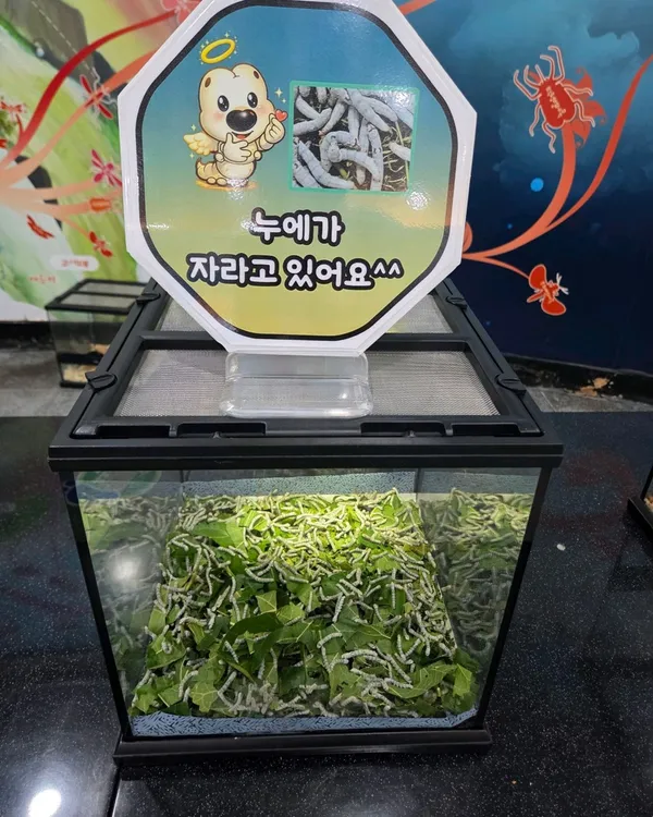 부안누에타운 사진 5
