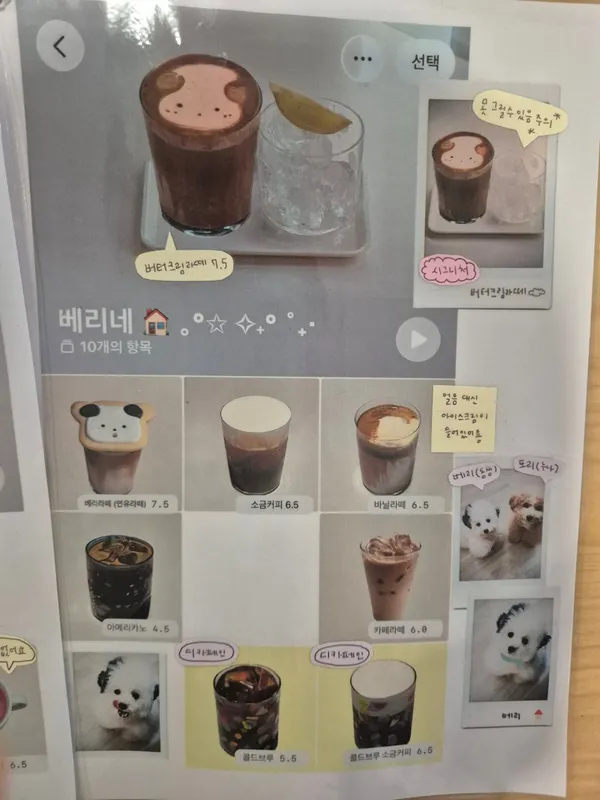 베리네 사진 3