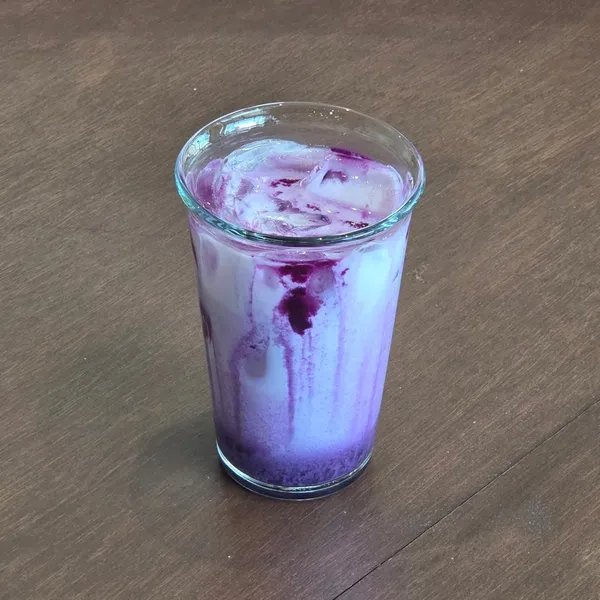 지피 사진 2