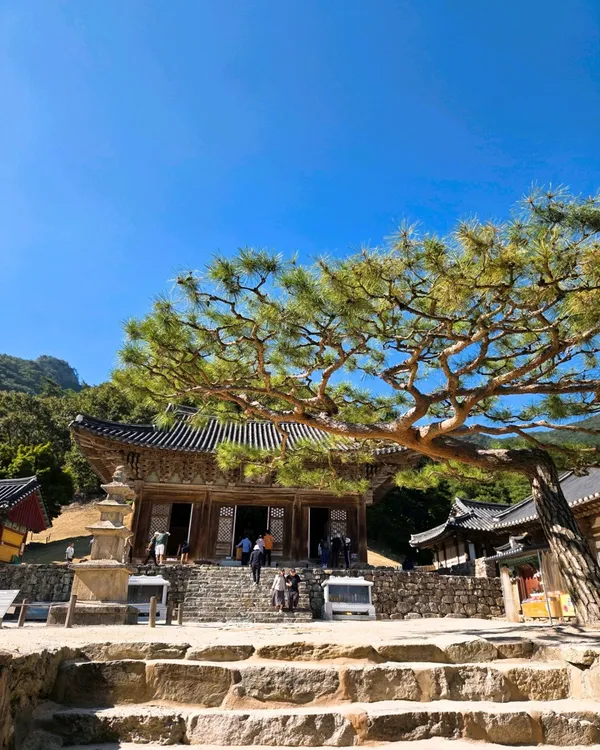 변산반도국립공원 사진 3