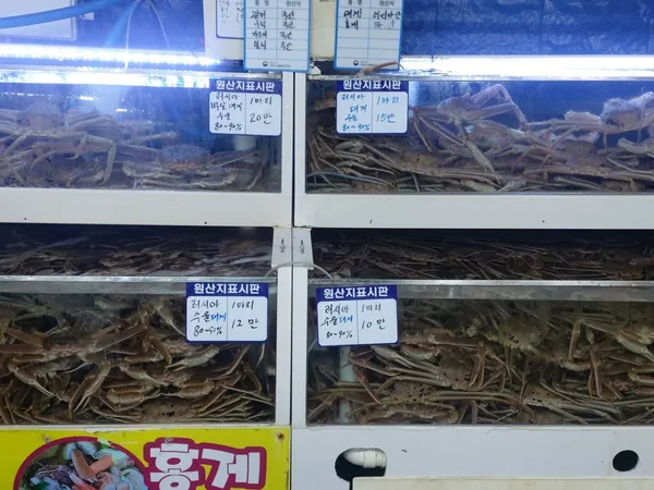 대게바다 사진 2