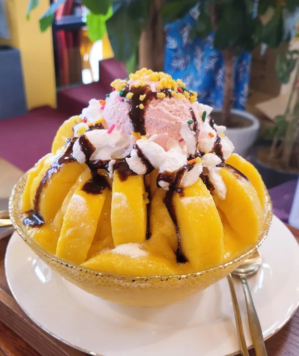 망고하이 사진 2