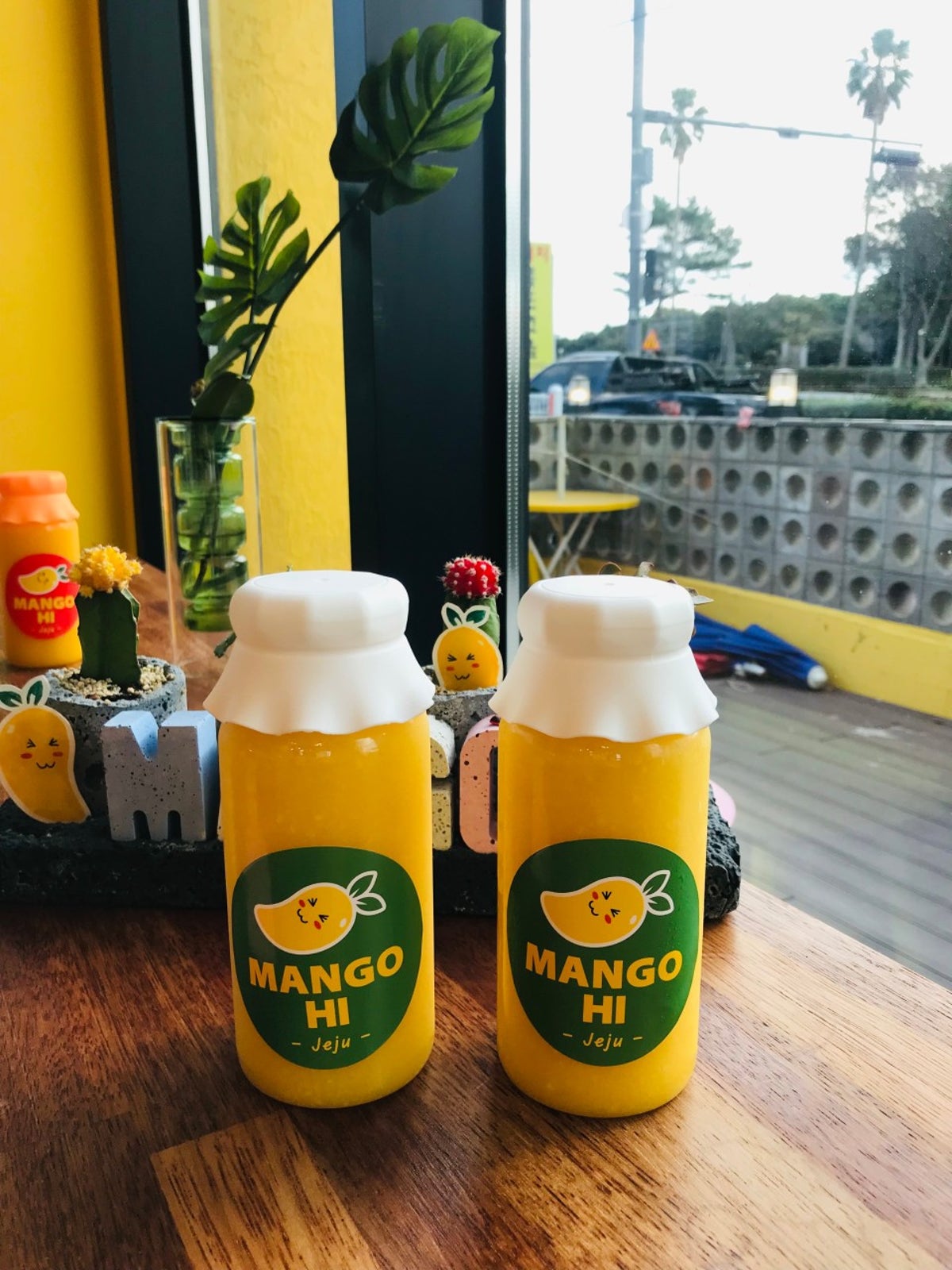 망고하이 사진 4