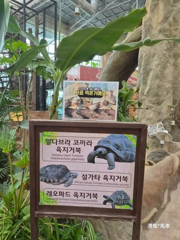 경주 버드파크 사진 4