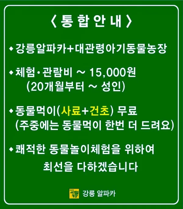 대관령아기동물농장 사진 2
