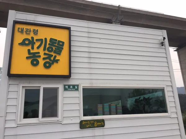 대관령아기동물농장 사진 3
