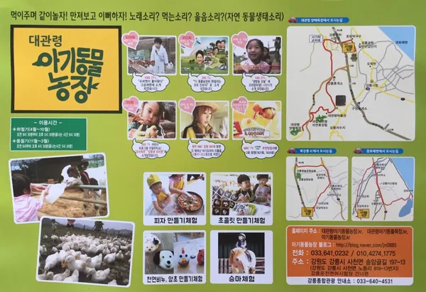 대관령아기동물농장 사진 4