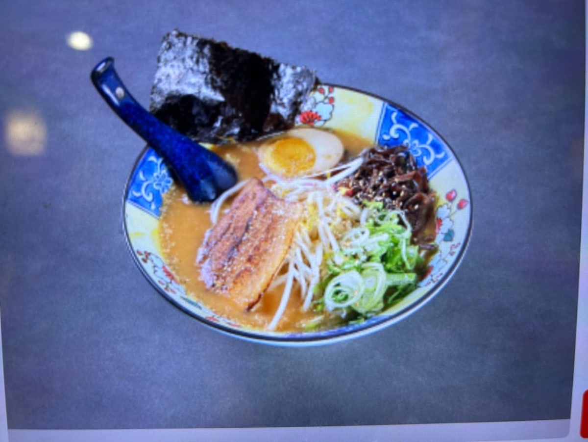 네코짱 사진 4
