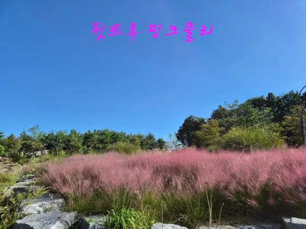 뒷뜨루