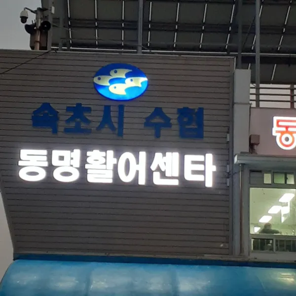 속초시수협동명활어센터 사진 2