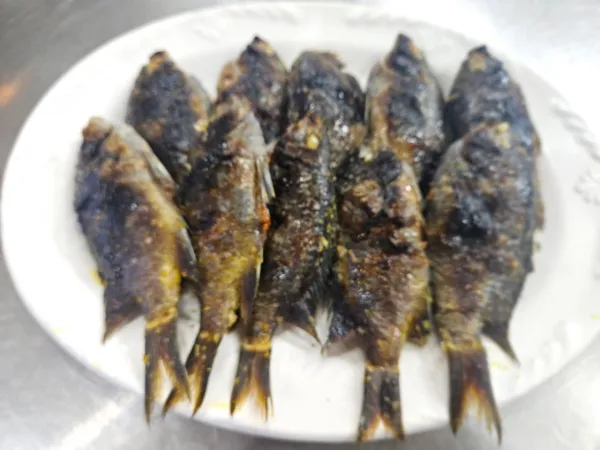 어진이네 횟집 사진 4