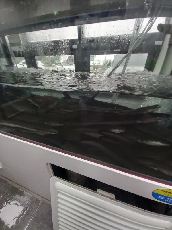 고창풍천장어 사진 3