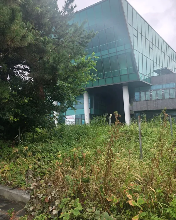 이기대해안산책로 사진 3