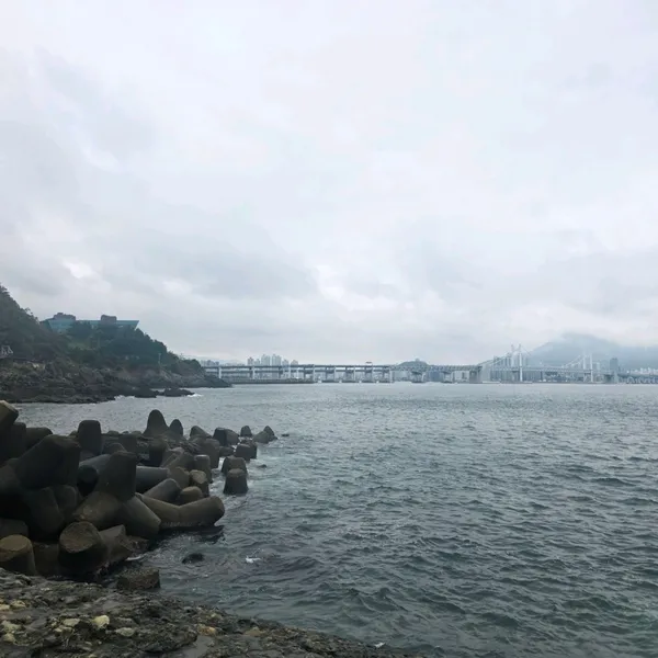 이기대해안산책로 사진 5