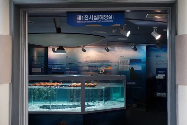 통영수산과학관 사진 4