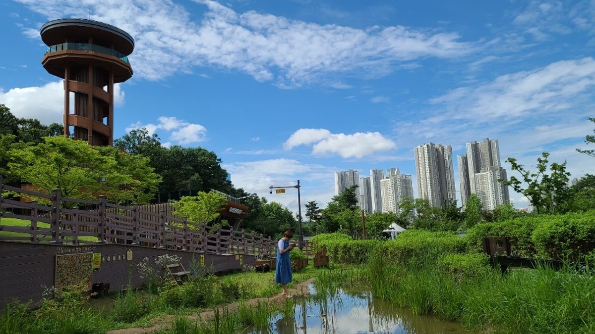 광교 생태환경체험교육관 사진 3