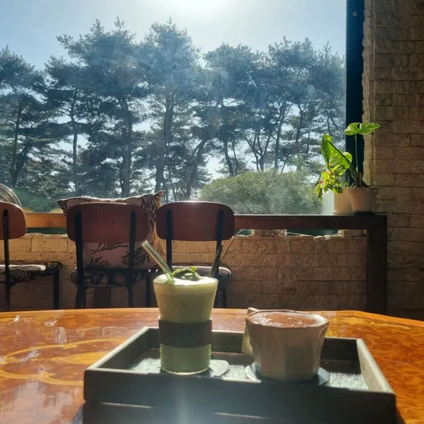 금베이숲 강원춘천점 사진 3