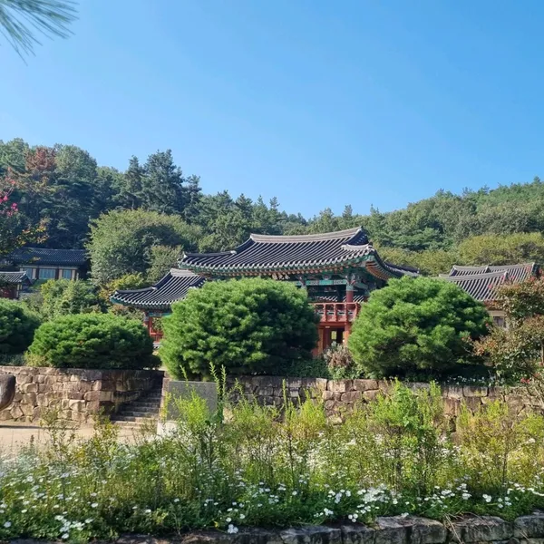 임고서원 사진 4