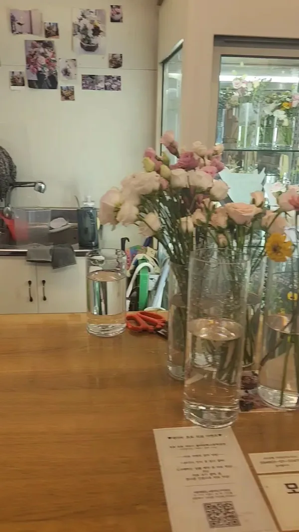 호노보노 사진 5