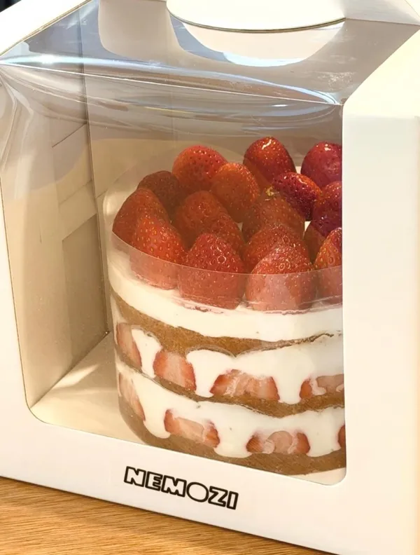 네모지 사진 4