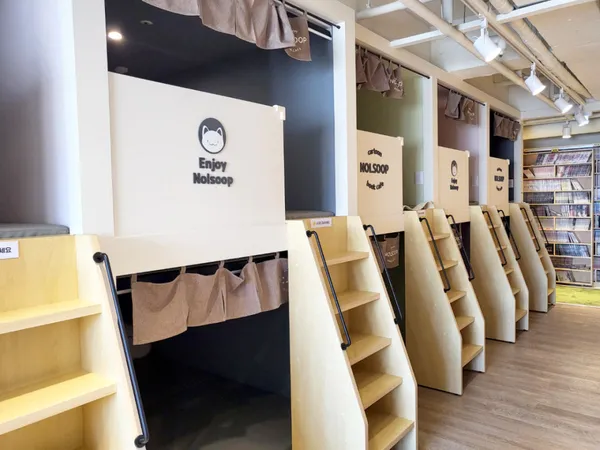 놀숲 잠실새내점 사진 4