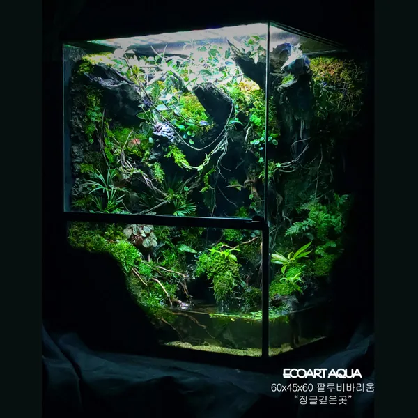 EcoArt Aqua, photo 3