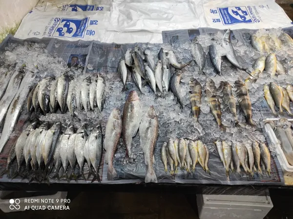인천꽃게 사진 4
