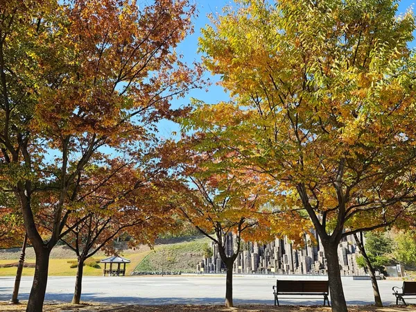 영천댐하류공원 사진 4
