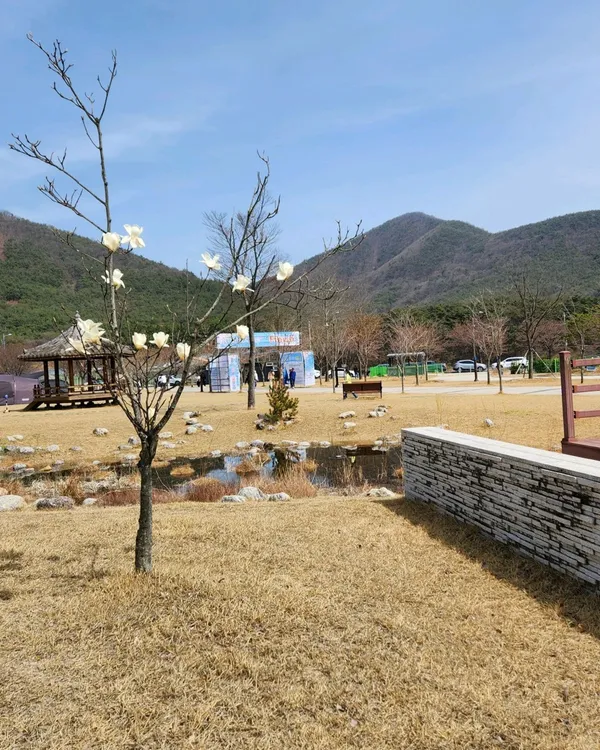 영천댐하류공원 사진 5