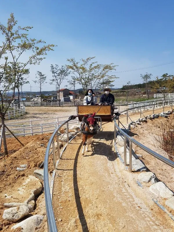 운주산승마조련센터 말문화체험관 사진 2