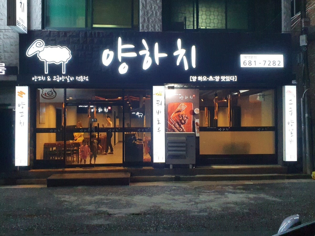 양하치 사진 4