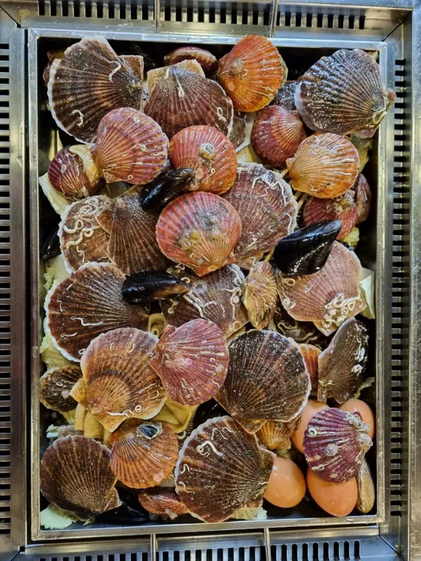 찌마기 판교역점 사진 5