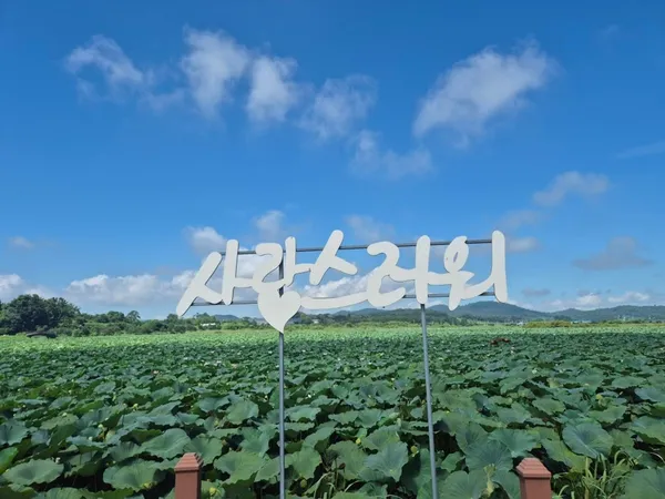 부영식당 사진 5