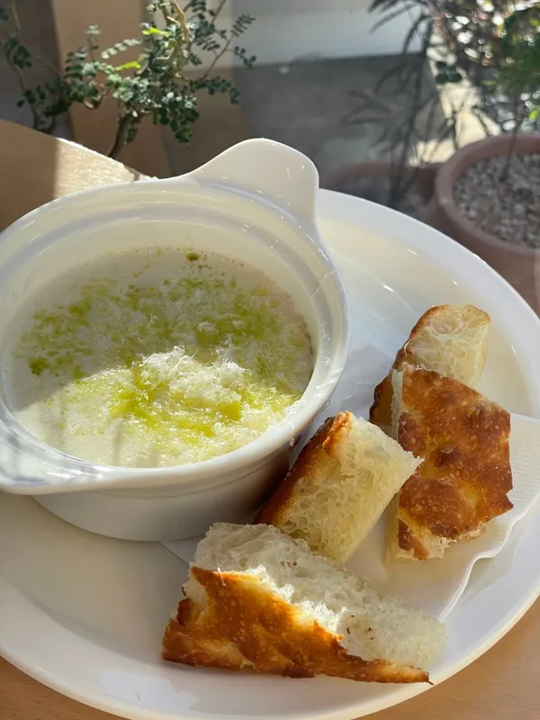 더쉐드 사진 2