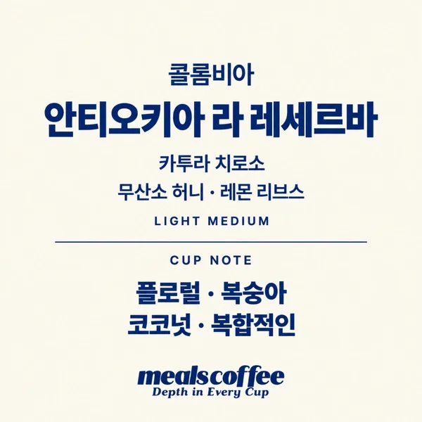 밀스 하우스 사진 3