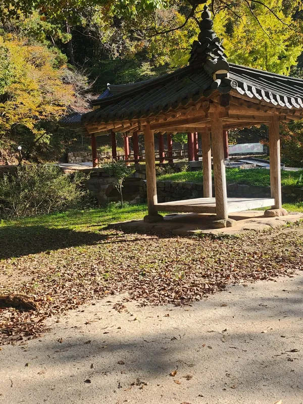 금빈회관 사진 5