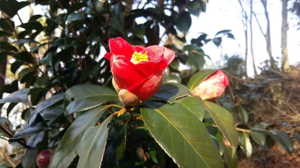 수우도 사진 3