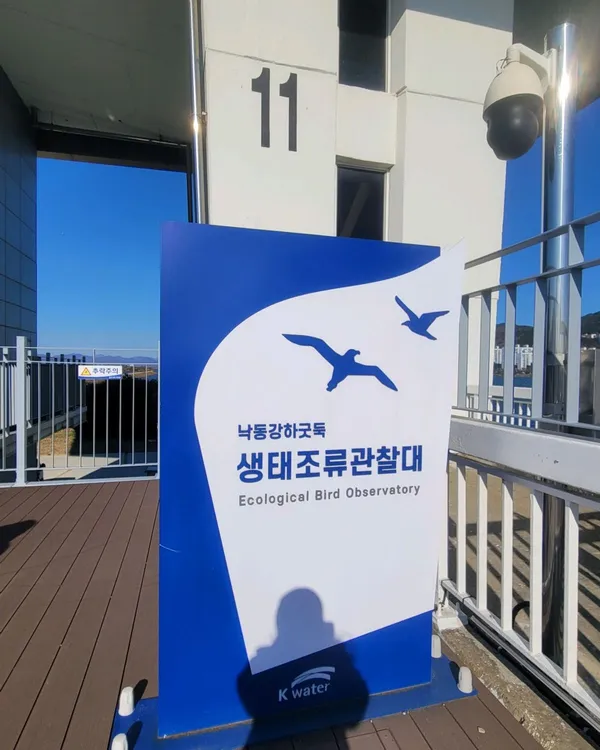 을숙도 철새공원