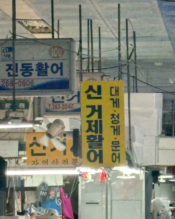 신거제활어 사진 5