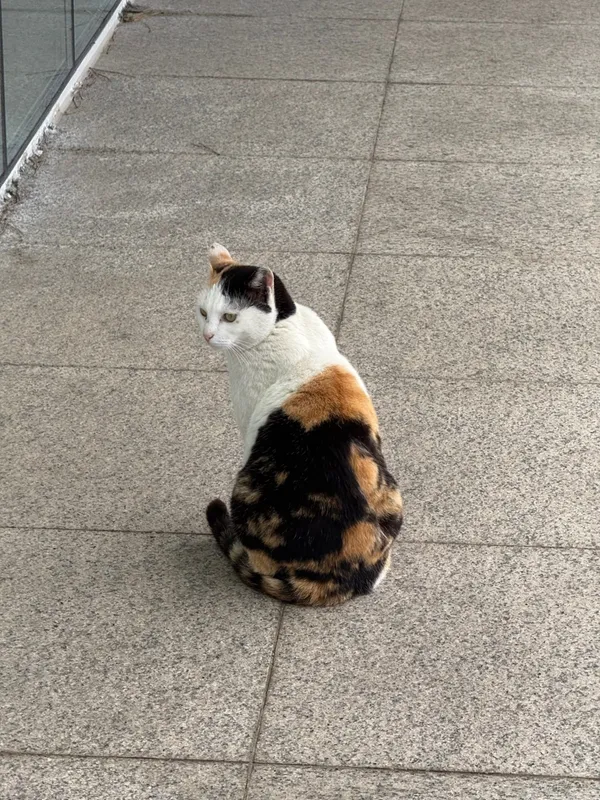 미쏘 NC백화점부산대점 사진 5