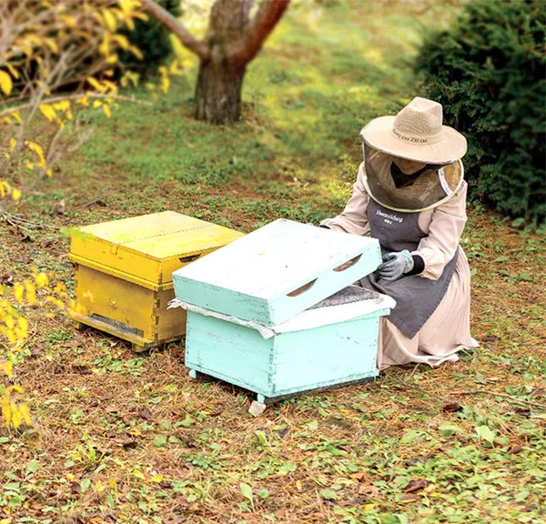 해밀당 사진 5