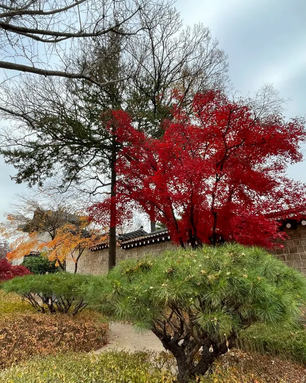 경복궁신무문