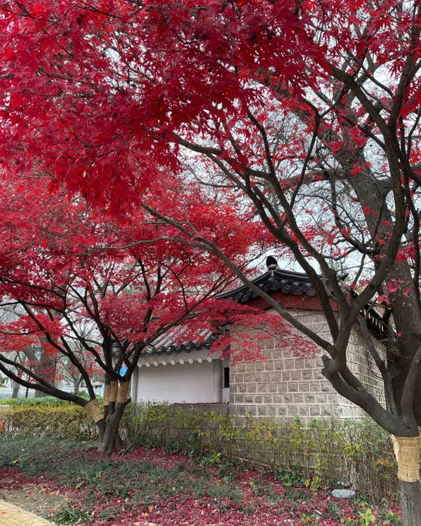 경복궁신무문 사진 3