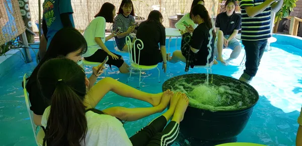 나폴리농원 사진 4