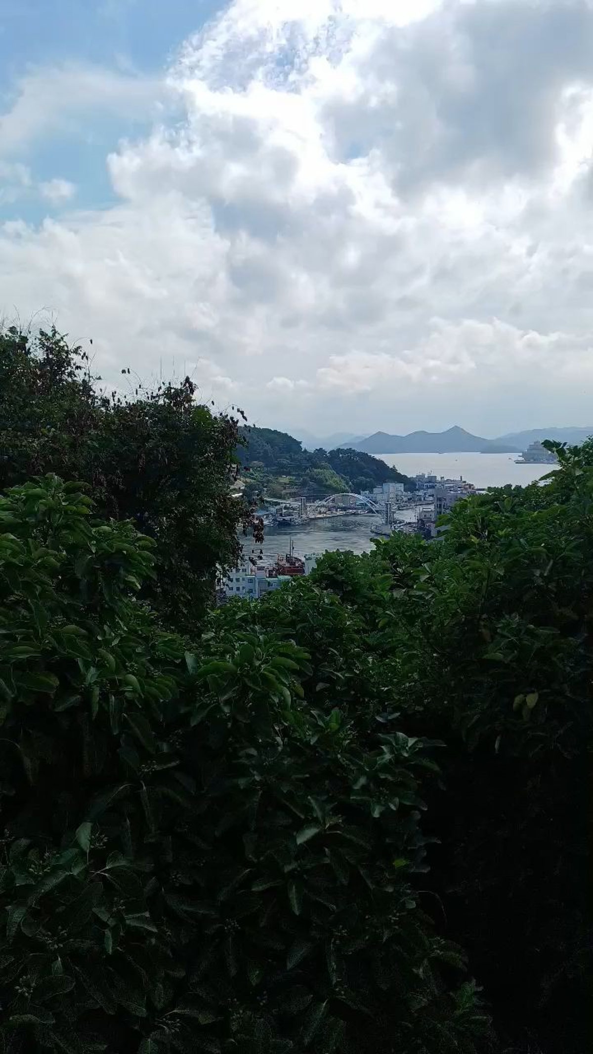 서피랑공원 사진 5